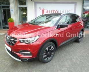 Opel Opel Grandland X 1.2 Autom. Design Line - Navi, AH Gebrauchtwagen