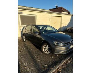 VW Volkswagen Golf 1.0 TSI OPF Comfortline Comfortlin Gebrauchtwagen