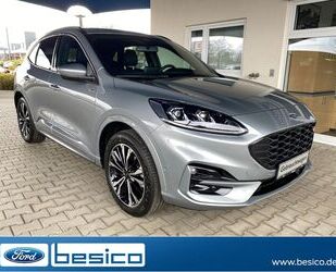 Ford Ford Kuga ST-Line X+AHK+B&O+PDC+LED+ACC+BLIS+Winte Gebrauchtwagen