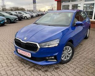 Skoda Skoda Fabia Selection*Sitzhzg*APP*LED*div.Assisten Gebrauchtwagen