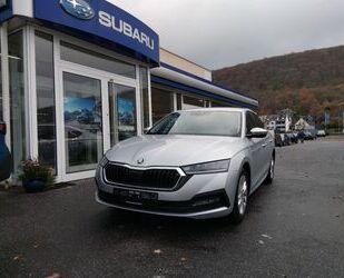 Skoda Skoda Octavia Lim. Ambition Gebrauchtwagen