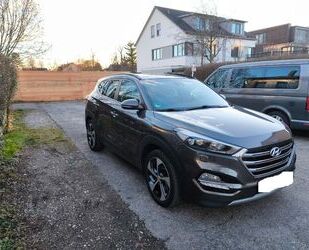 Hyundai Hyundai Tucson 1.6 TGDI Automatik Standheizung Pan Gebrauchtwagen