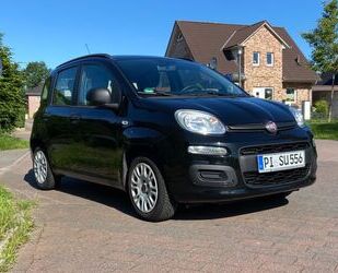 Fiat Fiat Panda 1.2 / MY PANDA / Klima / 1.Hand / Funk Gebrauchtwagen