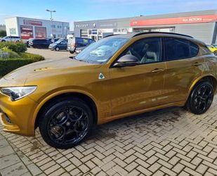 Alfa Romeo Alfa Romeo Stelvio Quadrifoglio LM21 ASS2 SPARCO H Gebrauchtwagen