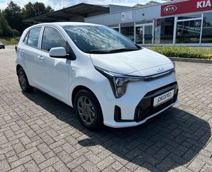 Kia Kia Picanto PE2 1.2 MT VISION Gebrauchtwagen