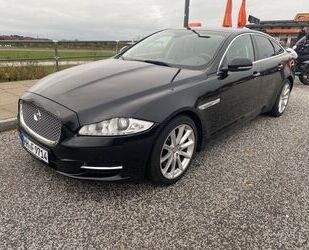 Jaguar Jaguar XJ Premium Luxury Vollausstattung Gebrauchtwagen