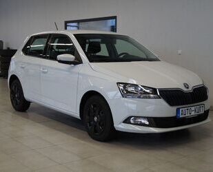 Skoda Skoda Fabia 1,0TSI*Ambition*PDC*SHZ*CarPlay*Klimaa Gebrauchtwagen