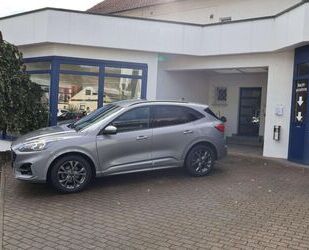 Ford Ford Kuga ST-Line X Gebrauchtwagen