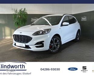 Ford Ford Kuga 2.0 EcoBlue Hybrid ST-Line X +AHK+iACC Gebrauchtwagen