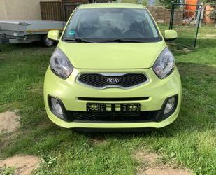 Kia Kia Picanto 1.0 Dream Team Edition Gebrauchtwagen