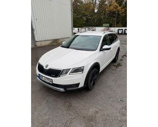 Skoda Skoda Octavia 2.0 TDI DSG 4x4 Scout Combi Scout Gebrauchtwagen