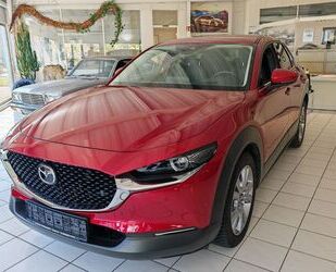 Mazda Mazda CX-30 Selection +BOSE+360°Kamera+Allwetter+ Gebrauchtwagen