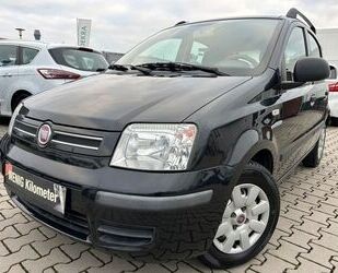 Fiat Fiat Panda 1.2 8V Dynamic (51kW) Dynamic*TÜV NEU*Z Gebrauchtwagen