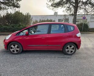 Honda Honda Jazz 1.2 Trend Gebrauchtwagen