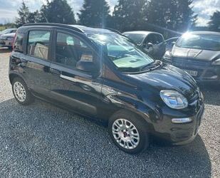 Fiat Fiat New Panda 1.2 8V *12.2025*TÜV Gebrauchtwagen