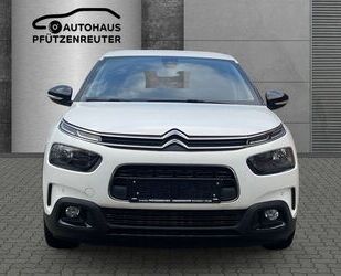 Citroen Citroën C4 Cactus Shine Gebrauchtwagen