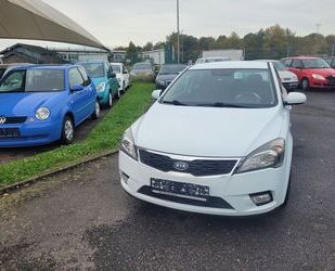 Kia Kia Ceed Eco Dynamics Gebrauchtwagen