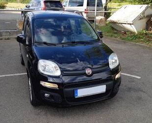 Fiat Fiat Panda 1,3 ltr. Diesel, Modell Lounge Gebrauchtwagen