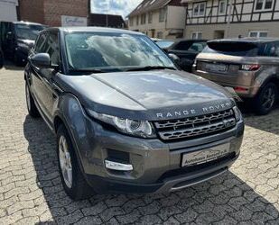 Land Rover Land Rover Range Rover Evoque Pure Technik*Leder*N Gebrauchtwagen