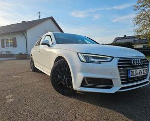 Audi Audi A4 2.0 TDI 140kW S tronic sport Avant sport Gebrauchtwagen