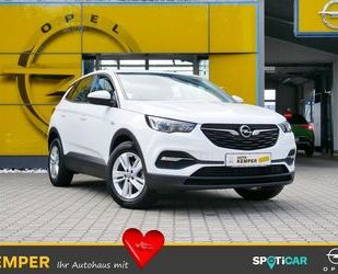 Opel Opel Grandland X 1.5 D Edition *LED*SHZ* Gebrauchtwagen