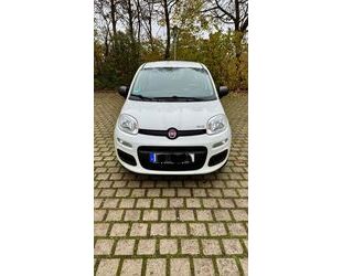 Fiat Fiat 1.2 Mystyle Klima Gebrauchtwagen