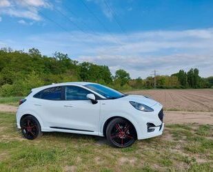 Ford Ford Puma 1,0 EcoBoost Hybrid 114kW ST-Line X ST-. Gebrauchtwagen