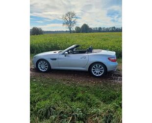 Mercedes-Benz Mercedes-Benz SLK 250 BlueEFFICIENCY Autom. - Gebrauchtwagen