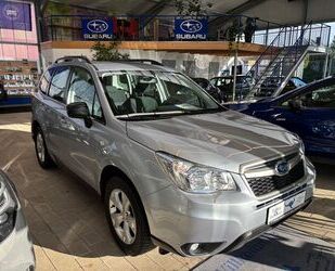 Subaru Subaru Forester Active Winterpaket AHK , Allrad Gebrauchtwagen