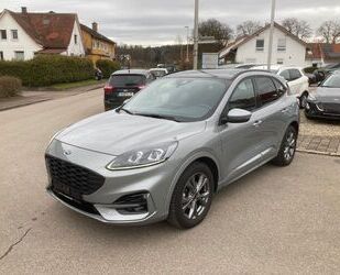 Ford Ford Kuga ST-Line X Gebrauchtwagen