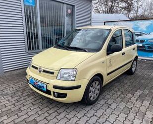 Fiat Fiat Panda 1.2 8V Dynamic Gebrauchtwagen