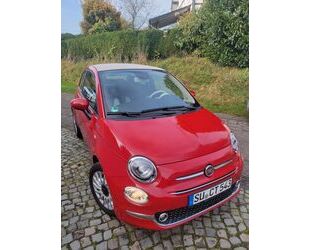 Fiat Fiat 500 c Cabrio dolce vita Hybrid Gebrauchtwagen