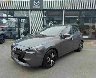 Mazda Mazda 2 1.5 SKYACTIV-G 90 Automatik Center-line Co Gebrauchtwagen