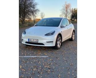 Tesla Tesla Model Y Dual Motor AWD MwSt. Gebrauchtwagen