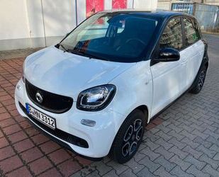 Smart Smart ForFour 52kW -Pure-Automatik-Leder-Panoramad Gebrauchtwagen