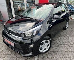 Kia Kia Picanto ED7 +Drive MJ25 *SOFORT* Gebrauchtwagen