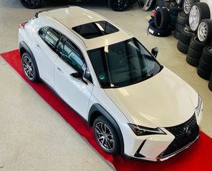 Lexus Lexus UX 250h -Luxury Edition -1. Hand -MwSt. ausw Gebrauchtwagen