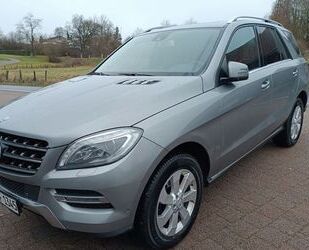 Mercedes-Benz Mercedes-Benz ML 350 BlueTEC 4MATIC ,Memory Gebrauchtwagen