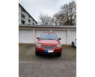 Land Rover Land Rover Freelander TD4 - HSE Automatik Panorama Gebrauchtwagen