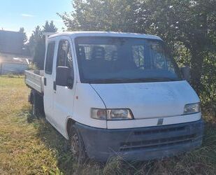 Fiat Fiat Ducato Gebrauchtwagen