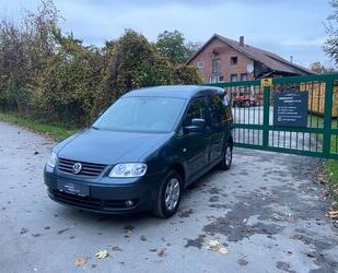 VW Volkswagen Caddy Life 1.9 TDI 77kW DSG 5-Sitzer - Gebrauchtwagen