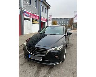 Mazda Mazda CX-3 / Bose / AWD / Sitz-hzg Gebrauchtwagen