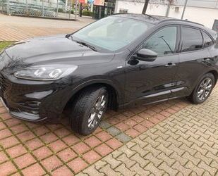 Ford Ford Kuga 1,5 EcoBoost ST-Line X ST-Line X Gebrauchtwagen