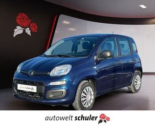 Fiat Fiat Panda 1,2 Easy Klima Gebrauchtwagen