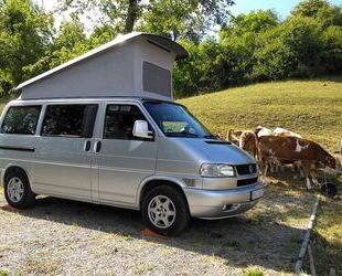 VW Volkswagen T4 California Gebrauchtwagen