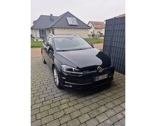 VW Volkswagen Golf 1.5 TSI ACT OPF BlueMotion IQ.DRIV Gebrauchtwagen