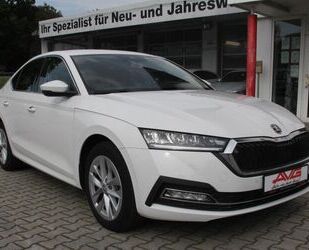 Skoda Skoda Octavia TDI Selection Sitzheizung LED CAM Sm Gebrauchtwagen