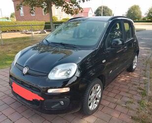 Fiat Fiat Panda 1.2 klima Gebrauchtwagen