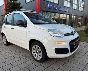 Fiat Panda Gebrauchtwagen