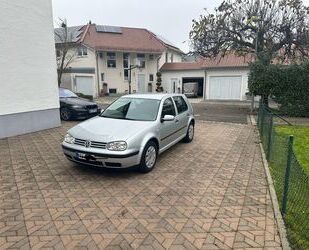 VW Volkswagen Golf 1.6 Auto Basis Gebrauchtwagen